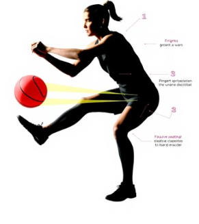 capture d'écran 2025 12 09 234447 capture d'écran 2025 12 09 234447